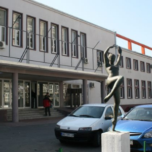 Centar za kulturu Vlada Divljan